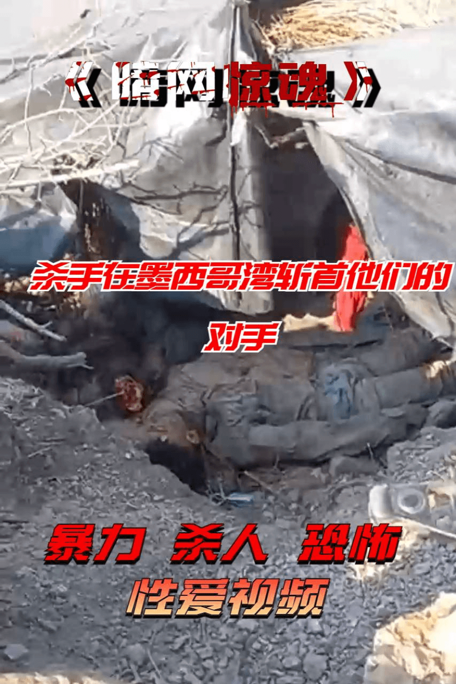 杀手在墨西哥湾斩首他们的对手