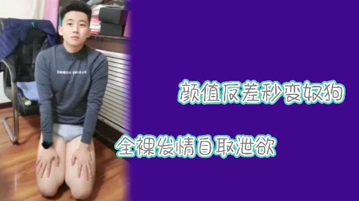 颜值反差秒变奴狗，一丝不挂全裸发情，精液自取泄欲