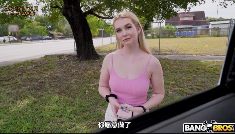 【捷克街头】163路边偶遇巨乳白皙女子邀请到车上挨操