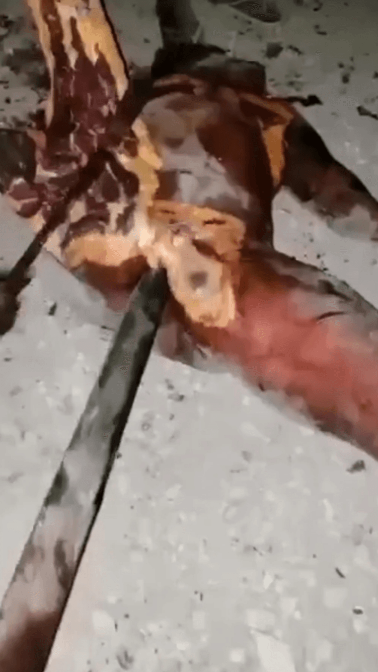 可怜的少妇被反叛军割奶割肉，木棍捅烂阴道。有点残忍血腥。请谨慎观看