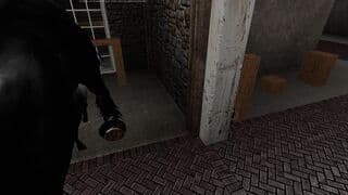佩尔什马公马与安格斯母牛交配