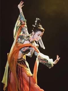蝶舞大唐春