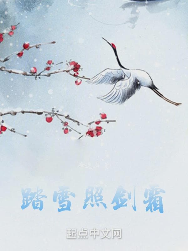 踏雪照剑霜