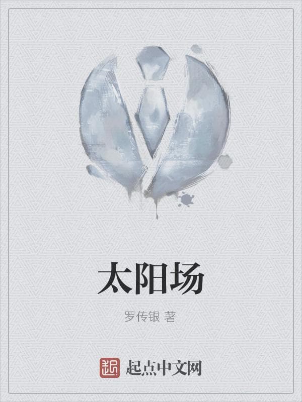 太阳场