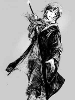 【霍格华兹AU】【笠妮】独角兽毛与龙的心弦