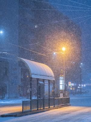 飘雪的街