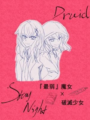 德鲁伊/stay night