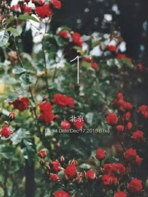 我可能不适合喜欢别人