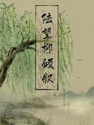 陆望柳倾叙