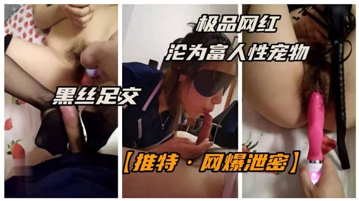 【推特·网红泄密】极品推特网红“丽莎”沦为土豪性宠物!